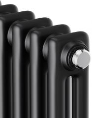 Стальной трубчатый радиатор 2-колончатый Royal Thermo Insignia C2180 - 10 секц. RAL9005m, боковое 1/2