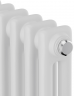 Стальной трубчатый радиатор 2-колончатый Royal Thermo Insignia VC2180 - 10 секц. RAL9016, нижнее 1/2