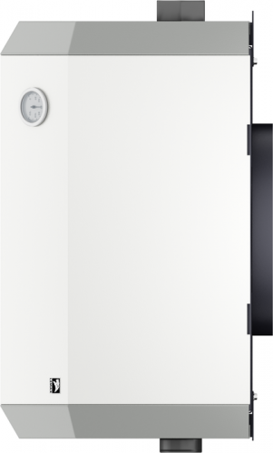 Напольный газовый котел Лемакс Патриот 20 с дымоходом (105851)